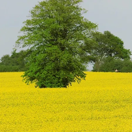 Edison By Interhome Holzdorf (Schleswig-Holstein)