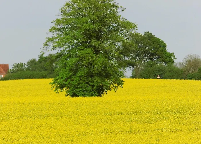 Edison By Interhome Holzdorf (Schleswig-Holstein)